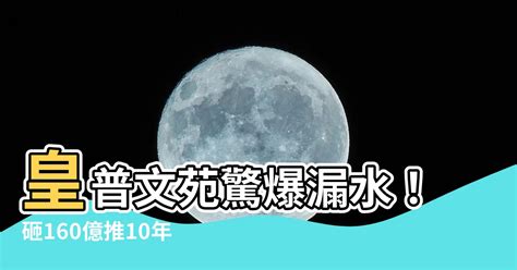 皇普文苑漏水|【皇普文苑漏水】皇普文苑驚爆漏水！砸160億推10年防水保固形。